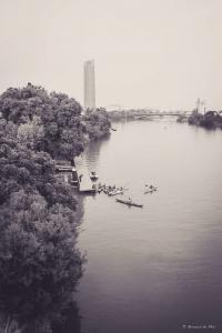 reportage